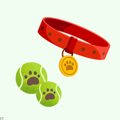 Collection image for: Accesorii Câini