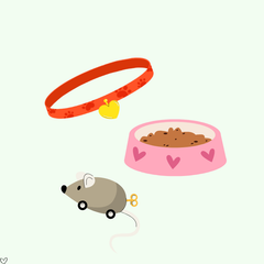 Collection image for: Accesorii Pisici