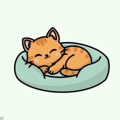 Collection image for: Pătuțuri Pisici