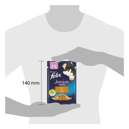 Felix Fantastic Junior Pui în aspic plic 85g