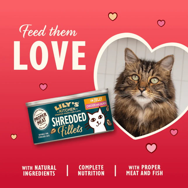 Lily's Kitchen Cat Adult Shredded Fillets with Chicken and Salmon in Jelly 70 g