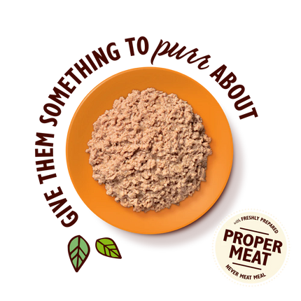 Lily's Kitchen Organic Chicken Pate 85 g