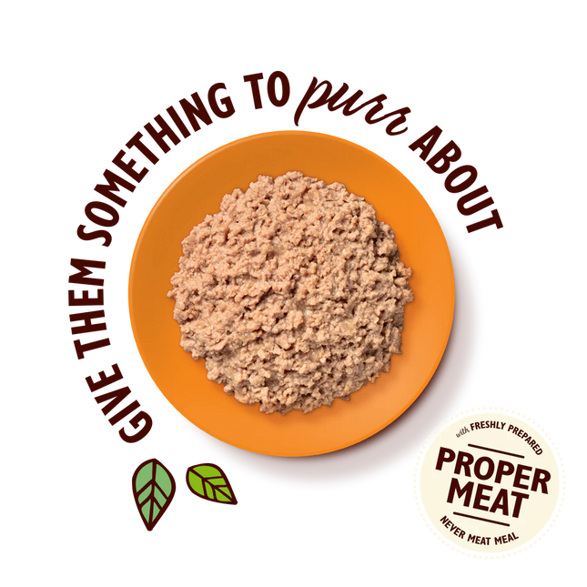Lily's Kitchen Organic Chicken Pate 85 g