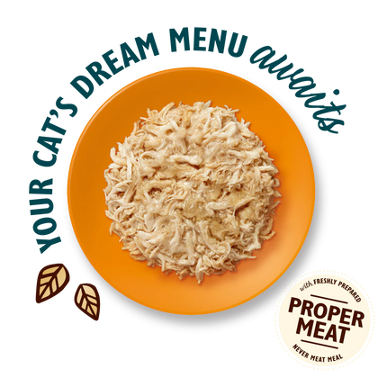 Lily's Kitchen Cat Adult Shredded Fillets with Chicken in Jelly 70 g