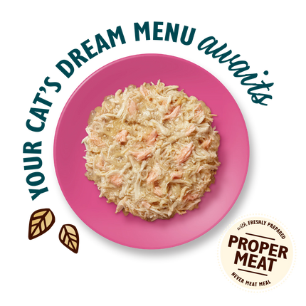 Lily's Kitchen Cat Adult Shredded Fillets with Chicken and Salmon in Jelly 70 g