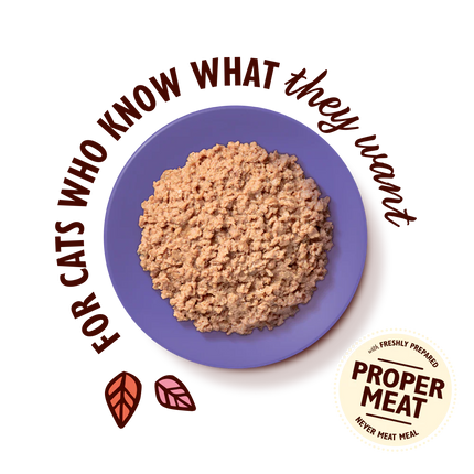 Lily's Kitchen Cat Mature Smooth Chicken Pate 85 g