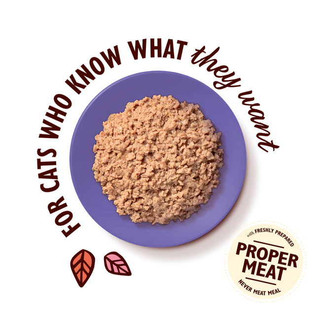 Lily's Kitchen Cat Mature Smooth Chicken Pate 85 g