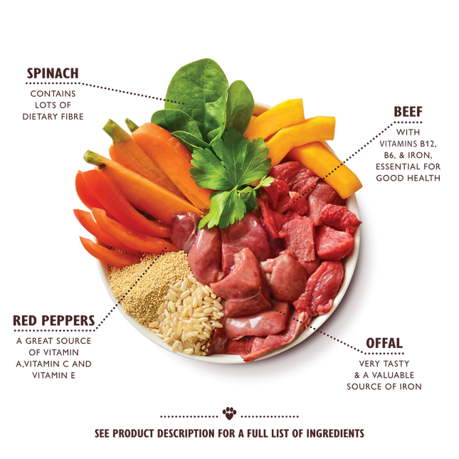 Lily's Kitchen Beef Goulash Tin 400 g