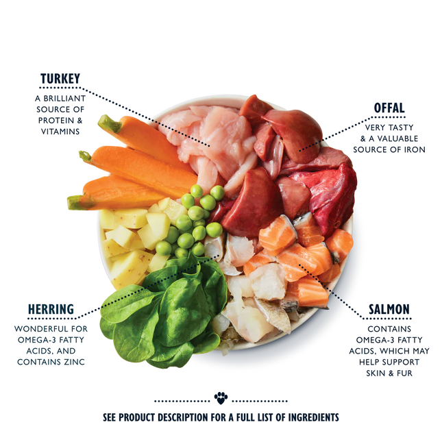 Lily's Kitchen Fishy Fish Pie Tin for Dogs 400 g