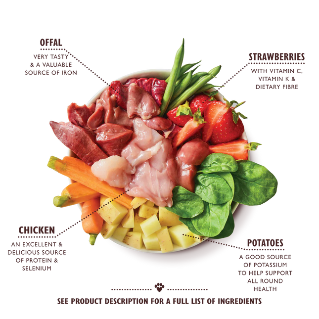 Lily's Kitchen an English Garden Party Tin for Dogs 400 g