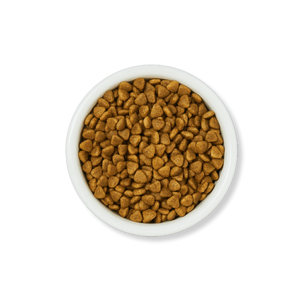 Lily's Kitchen Cat Chicken Casserole Adult Dry Food 2 kg