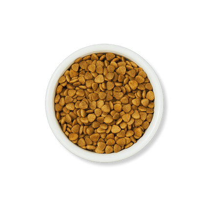 Lily's Kitchen Cat Fisherman's Feast White Fish with Salmon Dry Food 2 kg