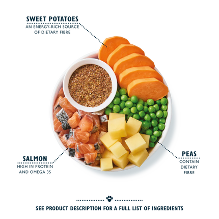 Lily's Kitchen for Dogs Salmon Supper Adult Dry Food 2.5 kg