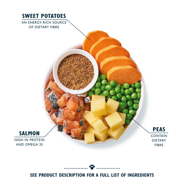 Lily's Kitchen for Dogs Salmon Supper Adult Dry Food 2.5 kg