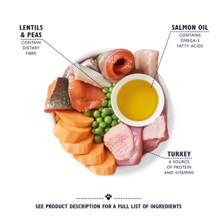 Lily's Kitchen Dog Turkey and Trout Senior Recipe Dry Food 7 kg