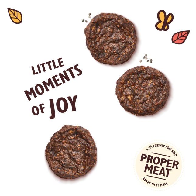 Lily's Kitchen the Best Ever Beef Mini Burgers Dog Treats 70 g