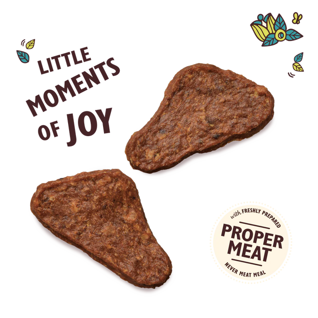 Lily's Kitchen the Mighty Duck Mini Jerky Dog Treats 70 g