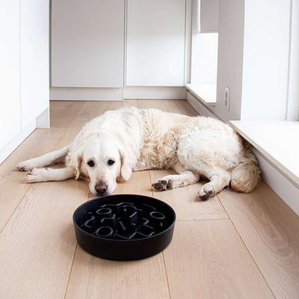 Castron hrănire lentă District 70 Bamboo Slow Feeder - 1200ml - Dark Grey