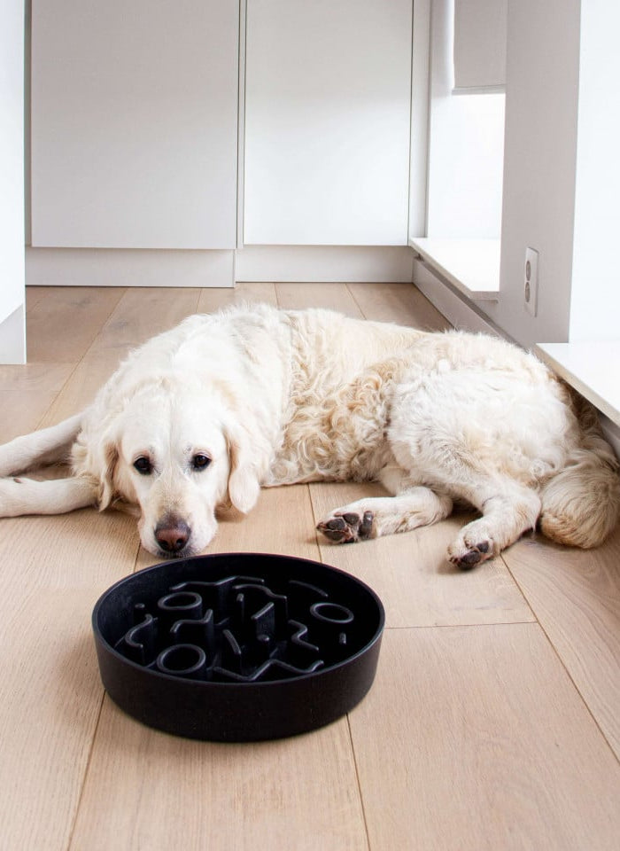 <h1>Bună ziua. Cum te putem ajuta?</h1>