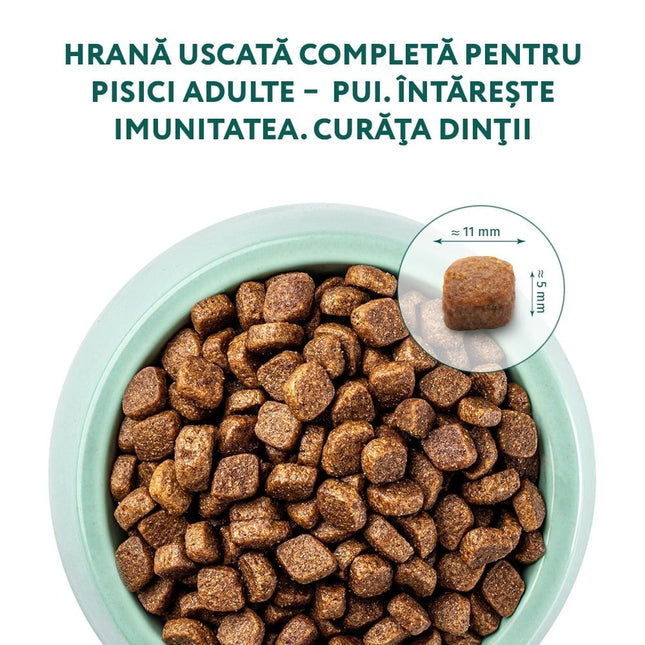 Optimeal Cat - Hrană uscată super-premium - Pui - 700g