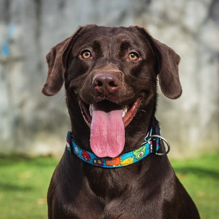 Zgardă Max & Molly Smart ID - S - Little Monsters